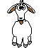 Gifs animados Animales - Imagenes animadas de Animales