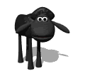 Gifs animados Animales - Imagenes animadas de Animales
