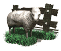 Gifs animados Animales - Imagenes animadas de Animales