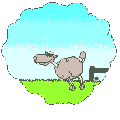 Gifs animados Animales - Imagenes animadas de Animales