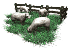 Gifs animados Animales - Imagenes animadas de Animales