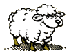 Gifs animados Animales - Imagenes animadas de Animales