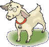 Gifs animados Animales - Imagenes animadas de Animales