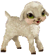 Gifs animados Animales - Imagenes animadas de Animales