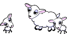 Gifs animados Animales - Imagenes animadas de Animales