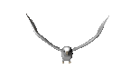 Gifs animados Animales - Imagenes animadas de Animales