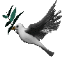 Gifs animados Animales - Imagenes animadas de Animales