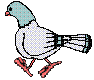 Gifs animados Animales - Imagenes animadas de Animales