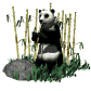Gifs animados Animales - Imagenes animadas de Animales