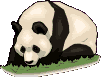 Gifs animados Animales - Imagenes animadas de Animales