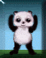 Gifs animados Animales - Imagenes animadas de Animales