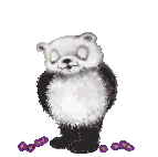 Gifs animados Animales - Imagenes animadas de Animales
