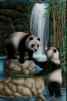 Gifs animados Animales - Imagenes animadas de Animales