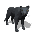 Gifs animados Animales - Imagenes animadas de Animales