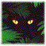 Gifs animados Animales - Imagenes animadas de Animales