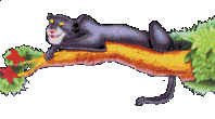 Gifs animados Animales - Imagenes animadas de Animales