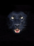 Gifs animados Animales - Imagenes animadas de Animales