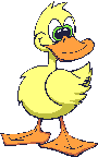 Gifs animados Animales - Imagenes animadas de Animales