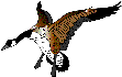 Gifs animados Animales - Imagenes animadas de Animales
