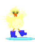 Gifs animados Animales - Imagenes animadas de Animales