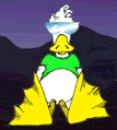 Gifs animados Animales - Imagenes animadas de Animales
