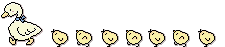 Gifs animados Animales - Imagenes animadas de Animales
