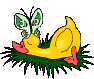Gifs animados Animales - Imagenes animadas de Animales