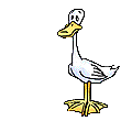 Gifs animados Animales - Imagenes animadas de Animales