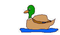 Gifs animados Animales - Imagenes animadas de Animales