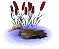 Gifs animados Animales - Imagenes animadas de Animales