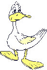 Gifs animados Animales - Imagenes animadas de Animales