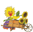 Gifs animados Animales - Imagenes animadas de Animales