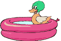 Gifs animados Animales - Imagenes animadas de Animales