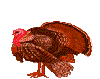Gifs animados Animales - Imagenes animadas de Animales