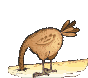 Gifs animados Animales - Imagenes animadas de Animales