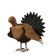 Gifs animados Animales - Imagenes animadas de Animales