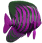 Gifs animados Animales - Imagenes animadas de Animales