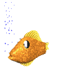 Gifs animados Animales - Imagenes animadas de Animales