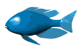 Gifs animados Animales - Imagenes animadas de Animales