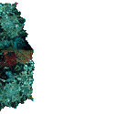 Gifs animados Animales - Imagenes animadas de Animales
