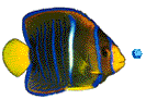 Gifs animados Animales - Imagenes animadas de Animales