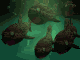 Gifs animados Animales - Imagenes animadas de Animales