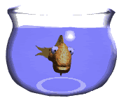Gifs animados Animales - Imagenes animadas de Animales