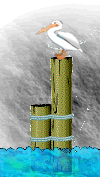 Gifs animados Animales - Imagenes animadas de Animales