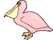 Gifs animados Animales - Imagenes animadas de Animales