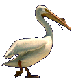 Gifs animados Animales - Imagenes animadas de Animales