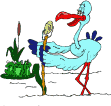 Gifs animados Animales - Imagenes animadas de Animales