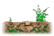 Gifs animados Animales - Imagenes animadas de Animales