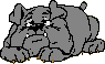 Gifs animados Animales - Imagenes animadas de Animales