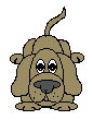 Gifs animados Animales - Imagenes animadas de Animales
